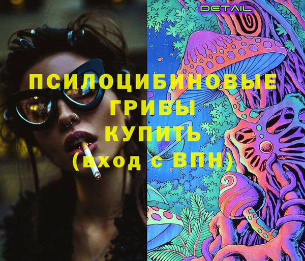 ГАЛЛЮЦИНОГЕННЫЕ ГРИБЫ Алзамай
