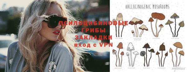 кокс Абаза