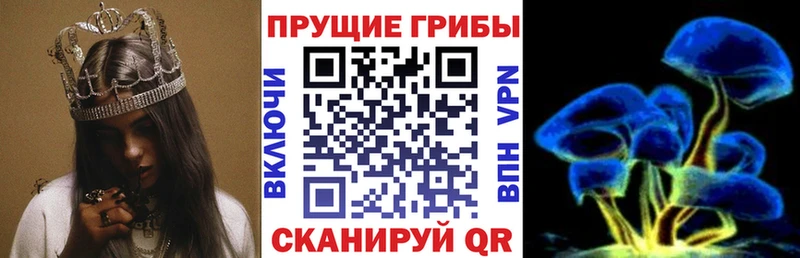 Галлюциногенные грибы Psilocybine cubensis  Иланский 